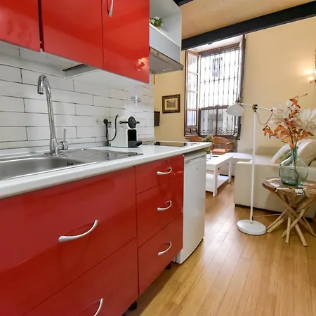 Apartment New! Exclusive Loft-duplex Justa - Only Adults Seville